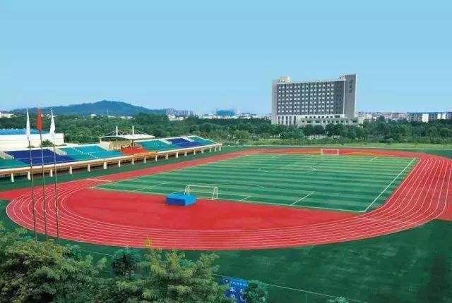 綿陽廣播電視大學鹽亭分?！鸽姶蟆?></a></div>
          <dl>
              <dt><a href=