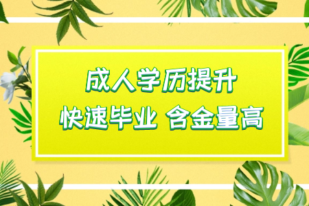 統(tǒng)考專升本在我國教育市場(chǎng)上屬于什么地位