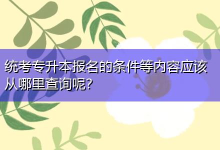 統(tǒng)考專升本報名的條件等內(nèi)容應該從哪里查詢呢？