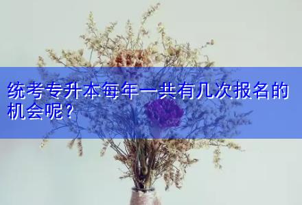 統(tǒng)考專升本每年一共有幾次報名的機會呢？
