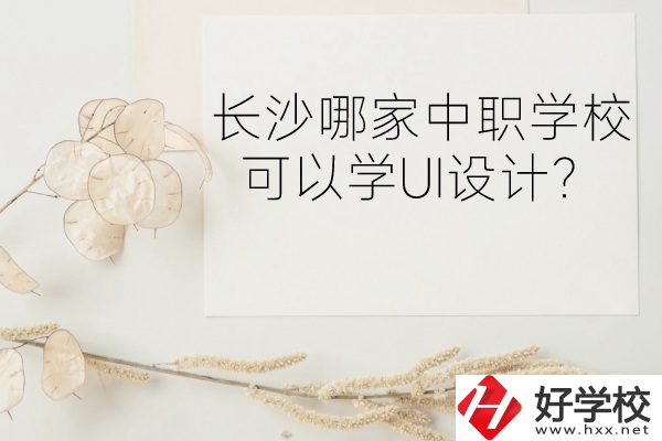 長沙哪家中職學(xué)?？梢詫W(xué)UI設(shè)計？