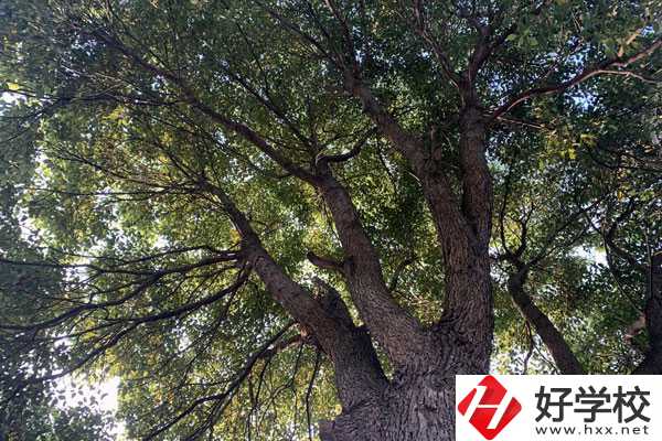 湖南省商業(yè)職業(yè)中專學(xué)校在哪里？升學(xué)就業(yè)怎么樣？