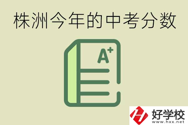 株洲今年中考多少分能上高中？沒考上有什么選擇？