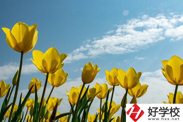 岳陽有開設(shè)工業(yè)機器人技術(shù)應(yīng)用專業(yè)的中職學(xué)校嗎？