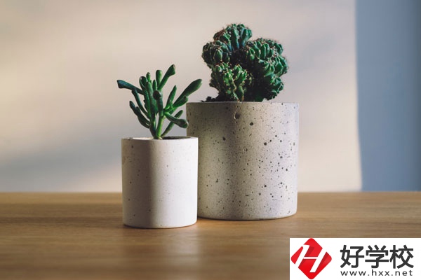 芷江民族職業(yè)中專招生專業(yè)有哪些？收費(fèi)標(biāo)準(zhǔn)如何？
