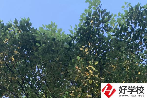邵陽職業(yè)技術(shù)學(xué)校就業(yè)好不好？值得報考嗎？