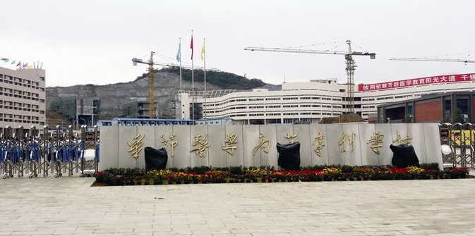 畢節(jié)醫(yī)藥高等?？茖W(xué)校校門