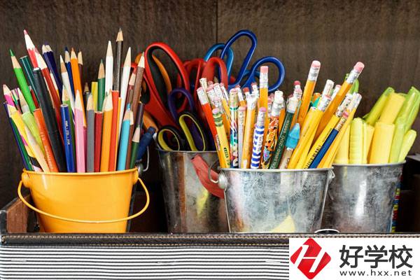 在懷化有什么職?？梢詫W習幼師？好不好？