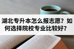湖北省專升本怎么報(bào)志愿？如何選擇填報(bào)院校專業(yè)比較好？