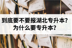 到底要不要報湖北專升本？為什么要專升本？
