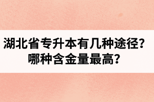 湖北省專升本有幾種途徑？哪種含金量最高？