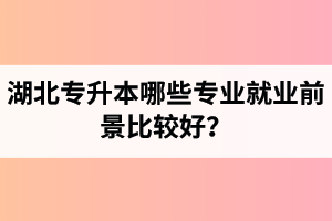 湖北專升本哪些專業(yè)就業(yè)前景比較好？