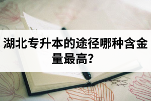 湖北普通專升本英譯漢段落翻譯分析應(yīng)該怎么做？