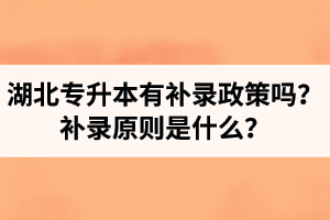 湖北專升本有補(bǔ)錄政策嗎？補(bǔ)錄原則是什么？