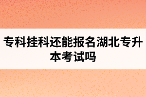 ?？茠炜七€能報名湖北專升本考試嗎？在哪里能獲取最新的專升本資訊？