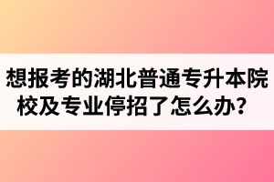 想報考的湖北普通專升本院校及專業(yè)停招了怎么辦？