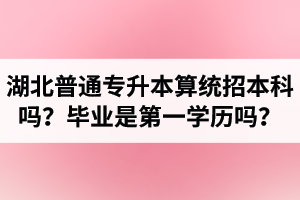湖北普通專升本算統(tǒng)招本科嗎？專升本學歷是第一學歷嗎？