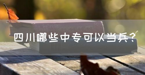 四川哪些中?？梢援?dāng)兵？(圖1)