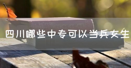 四川哪些中?？梢援敱?圖1)