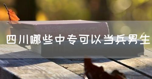 四川哪些中?？梢援?dāng)兵男生(圖1)
