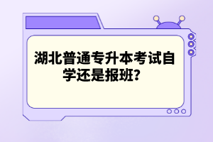 湖北普通專升本考試自學(xué)還是報班？