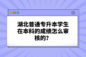 湖北普通專升本學生在本科的成績怎么審核的？
