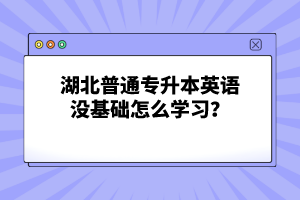 湖北普通專升本英語沒基礎(chǔ)怎么學(xué)習(xí)？