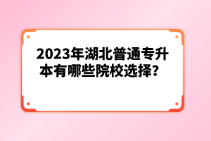 2023年湖北普通專(zhuān)升本有哪些院校選擇？