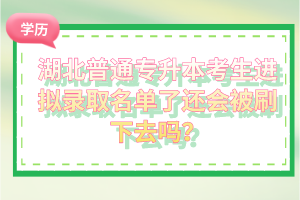 湖北普通專升本考生進(jìn)擬錄取名單了還會(huì)被刷下去嗎？