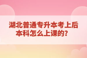 湖北普通專升本考上后本科怎么上課的？