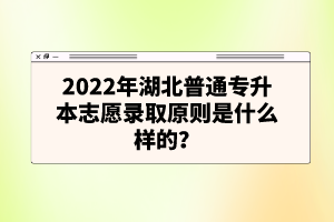 2022年湖北普通專升本志愿錄取原則是什么樣的？