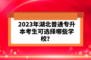 2023年湖北普通專升本考生可選擇哪些學校？