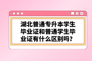 湖北普通專升本學(xué)生畢業(yè)證和普通學(xué)生畢業(yè)證有什么區(qū)別嗎？