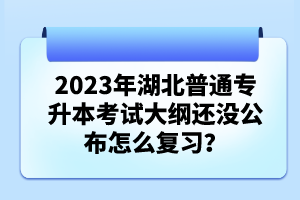 2023年湖北普通專升本考試大綱還沒公布怎么復(fù)習(xí)？