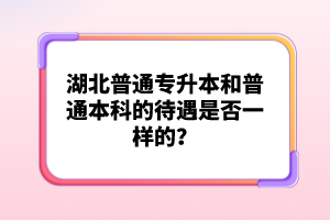 湖北普通專升本和普通本科的待遇是否一樣的？