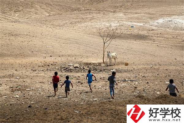 張家界少數(shù)民族加分政策是什么？中專升大專加分嗎？