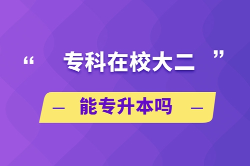 ?？圃谛４蠖軐Ｉ締? /></p><p style=