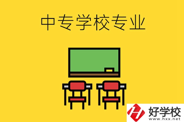 湖南的中專學(xué)校有哪些專業(yè)好就業(yè)？