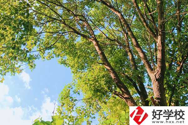 衡陽(yáng)南華科技學(xué)校教學(xué)質(zhì)量怎么樣？
