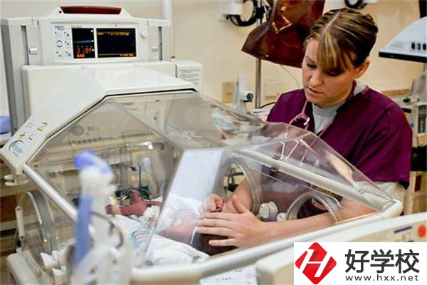 湖南中職學校開設最多的專業(yè)有哪些？就業(yè)前景怎么樣？