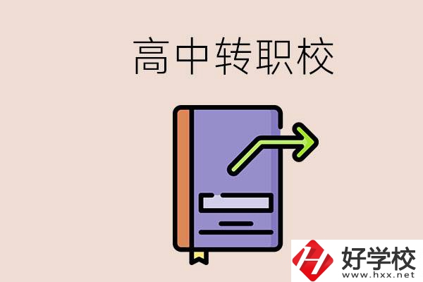 有在讀高中不想讀轉職校的例子嗎？能轉到湖南職校嗎？