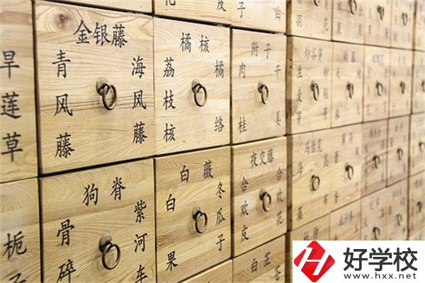 湖南省哪些中職有中藥專業(yè)？