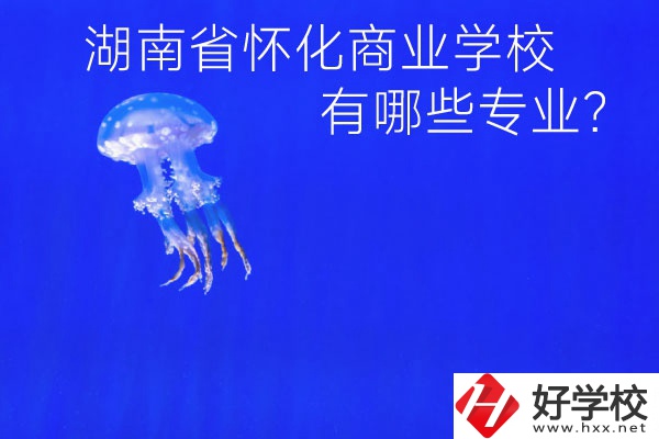 湖南省懷化商業(yè)學(xué)校好不好？有哪些專業(yè)？
