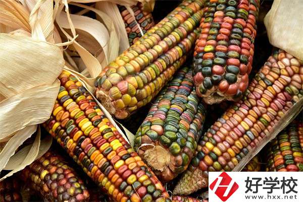 岳陽中職學校哪些專業(yè)好？有什么學校推薦？