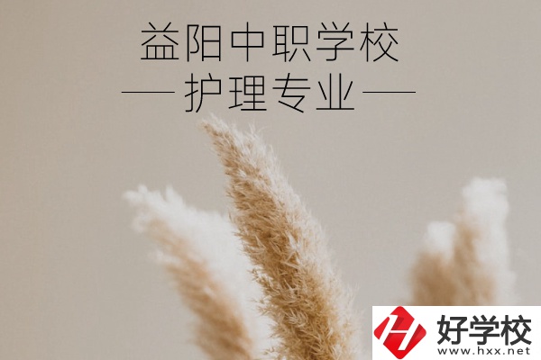 益陽護(hù)理專業(yè)的中職學(xué)校有哪些？需要哪些要求？