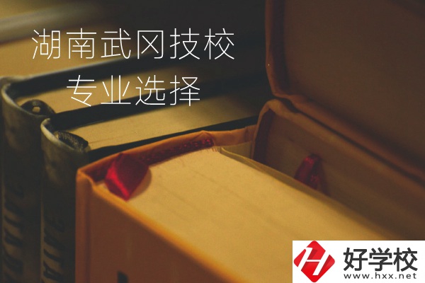 湖南武岡技校怎么樣？有哪些專業(yè)可以選擇？