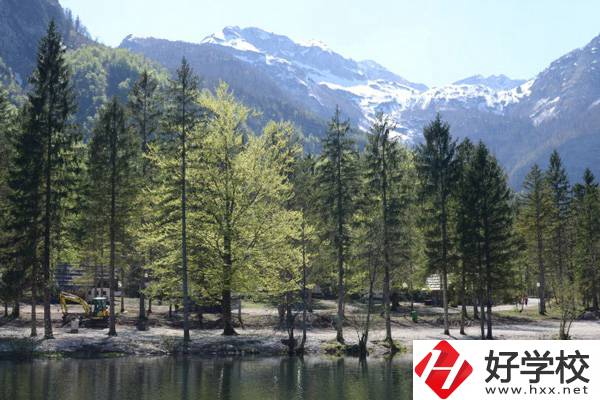湘西自治州技工學校怎么樣?宿舍環(huán)境怎么樣？
