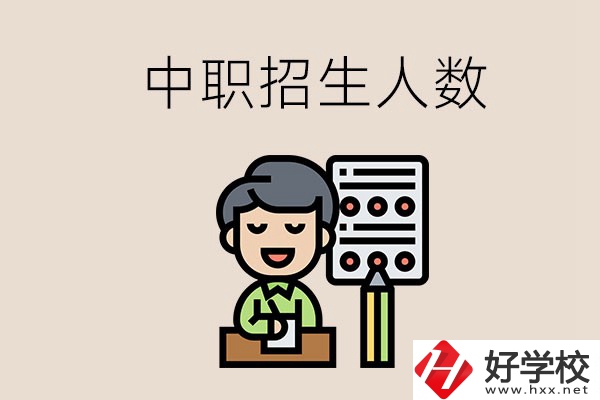 湖南中職學校每年的招生人數(shù)是多少？