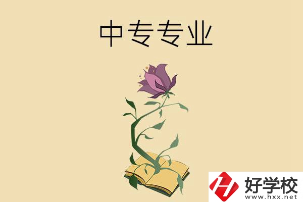 在張家界讀中專，學(xué)什么專業(yè)比較好？