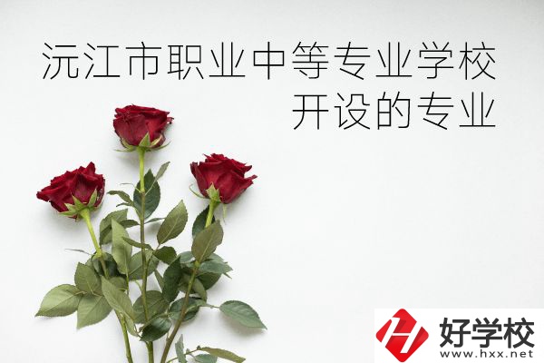 沅江市職業(yè)中等專業(yè)學校怎么樣？開設哪些專業(yè)？